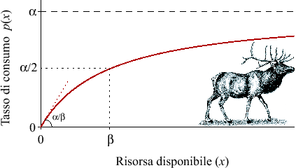 \includegraphics[scale=0.8]{risp2}